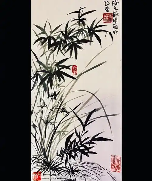 徐静蕾微博图片