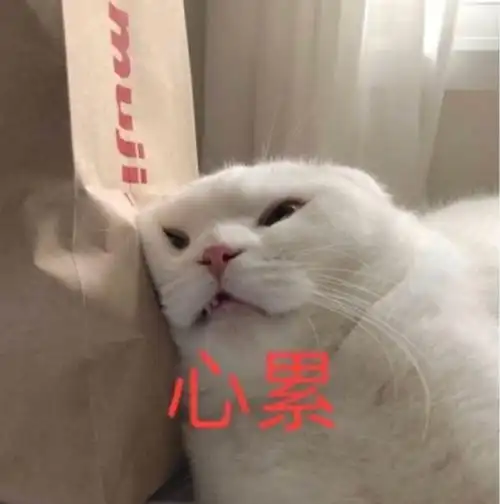 萌宠猫星人心累难受呆萌可爱gif动图_动态图_表情包下载_soogif