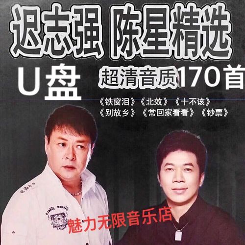 迟志强/陈星专辑经典歌曲经典歌曲铁窗泪/十不该 16gb  16gb