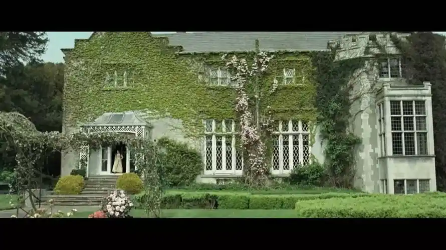 胡说八道谈电影