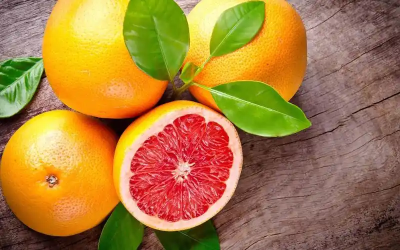 夏日各式各样的水果