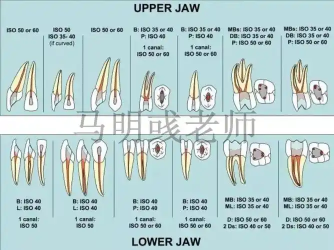 万人在线的根管课程,让你制胜复杂病例!