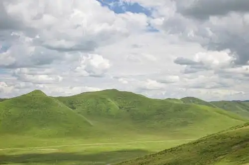 中国四川阿坝州红原县高山草甸草原风光