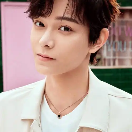 宝格丽bvlgaribvlgari359320项链45