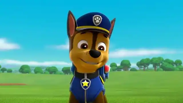 汪汪队立大功  阿奇当了一回牧羊犬,终于把羊都赶上车了