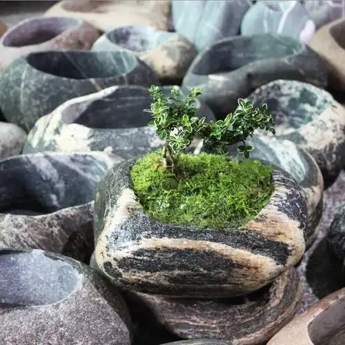 天然创意鹅卵石花盆绿萝多肉水培铜钱石头朴花花盆