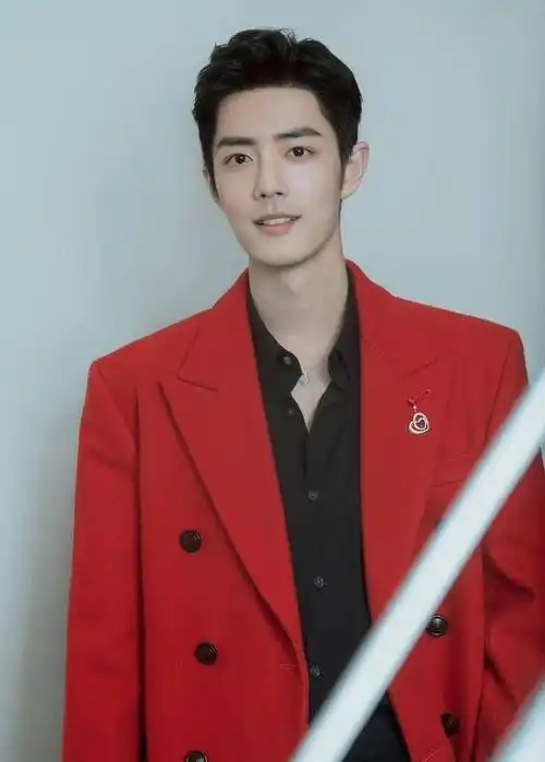 肖战6个半小时获7个品牌认领,创意总监亲挺_系列_舞台_西装