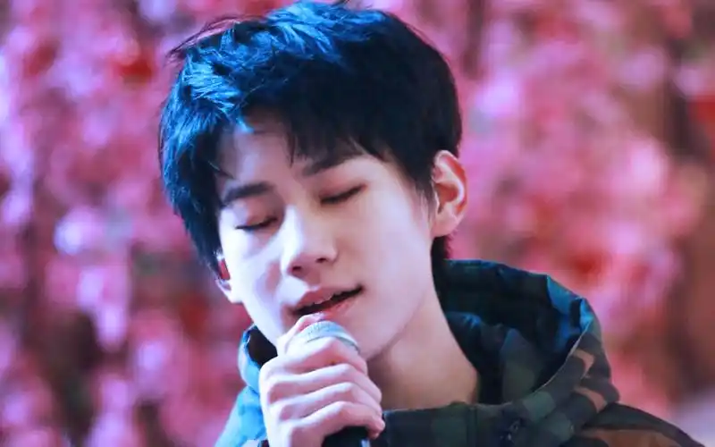 【tf家族】【张真源】简简单单 focus 180131上海路演