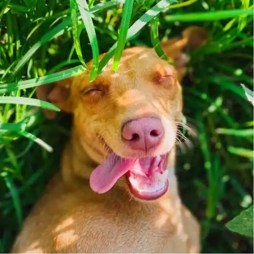 抖音潮图搞怪头像图片 高清好看的抖音逗比搞怪头像_搞笑头像_头像屋