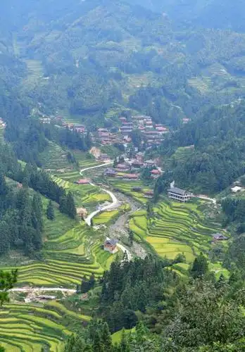 苗山脱贫影像志——乌英苗寨迎来秋收季