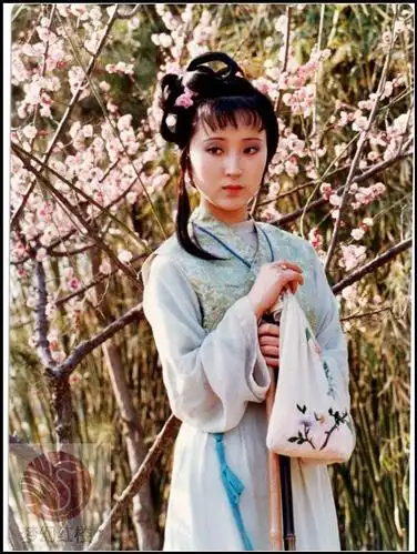 《家春秋》里楚楚动人的梅表姐 却和林黛玉一样抑郁而亡_红楼梦