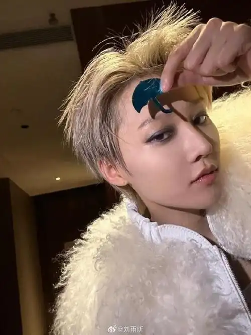 刘雨昕罚抄161遍错别字,易烊千玺王一博再度躺枪