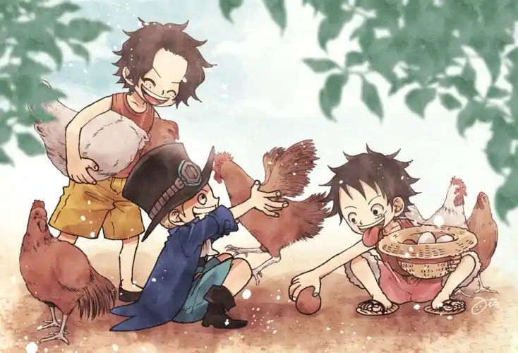 海贼王asl三小只插图_aco