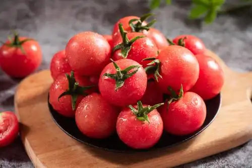 新鲜的小番茄圣女果