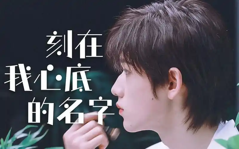 宋亚轩完整版刻在我心底的名字好听哭了