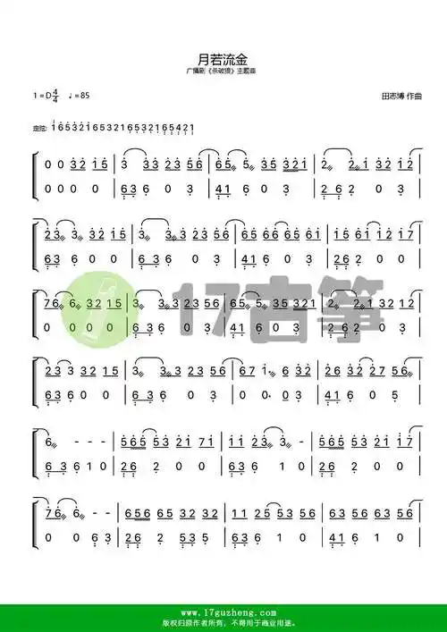 月若流金古筝谱广播剧杀破狼主题曲