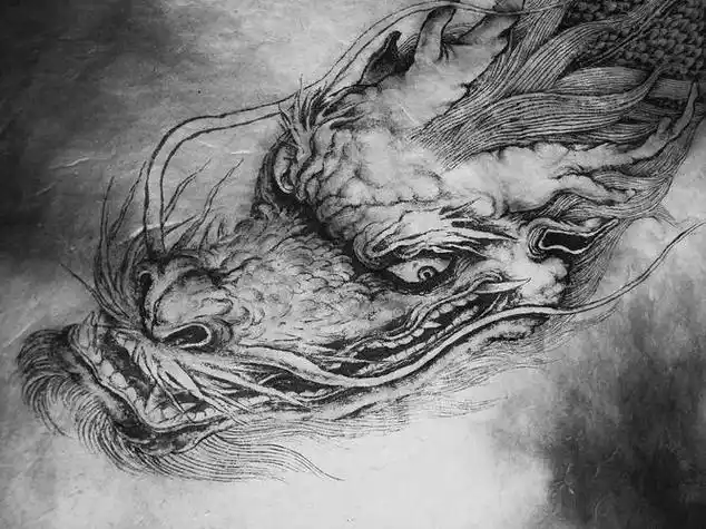 素描龙图片 素描龙图片大全简单