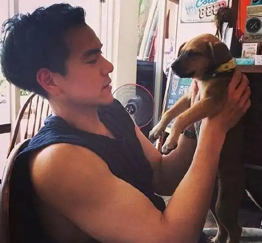 有许多明星甚至开玩笑说,他们希望自己拥有吴彦祖的长相和彭于晏的