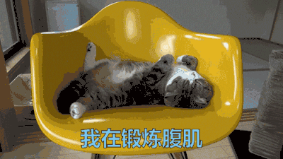 八级甲图片_八级甲动态图_八级甲表情包gif动图下载_soogif