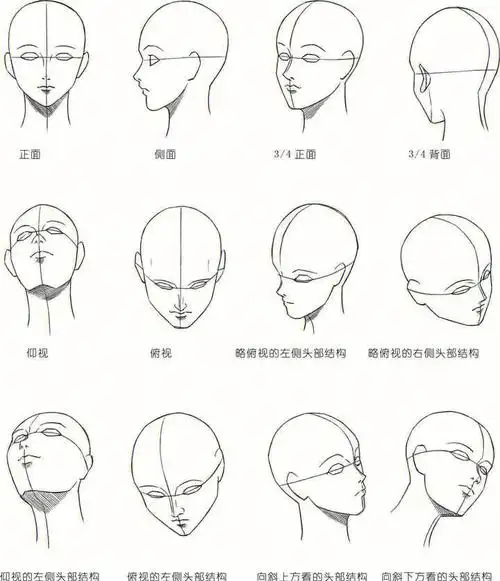 自学漫画头部的旋转五官基础