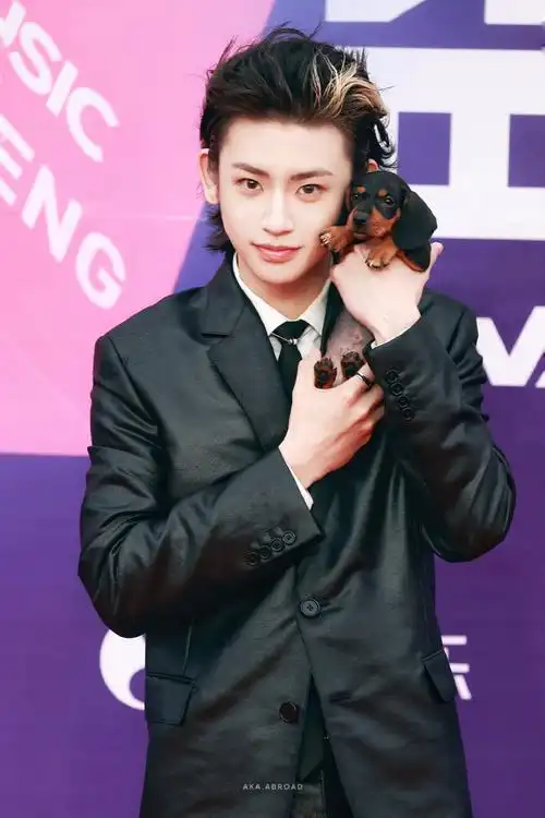 小鬼王琳凯超话//#小鬼抱朋克小狗走红毯#240330 巅峰音乐盛典 红毯