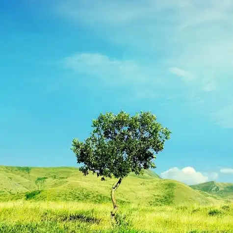 高山草甸_微信头像风景图片_扣扣居