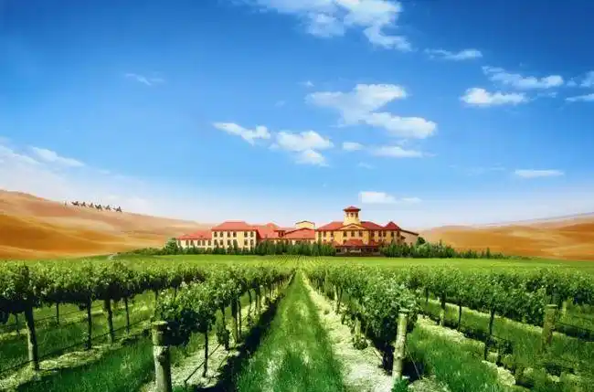 沙恩庄园,沙恩葡萄酒,沙恩红酒—再次惊艳全球
