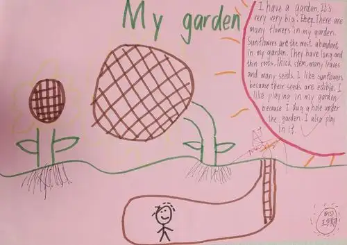 四(5)班第二学期unit 10作文: my garden