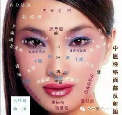 中医经络面部反射图——内脏与面斑
