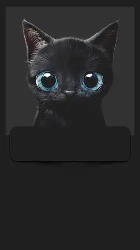 24张超精美个性手机壁纸