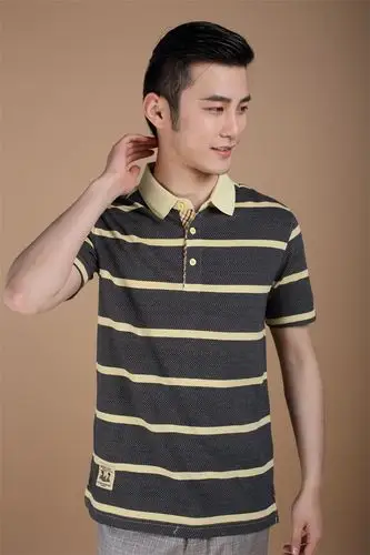 全棉中年条纹商务休闲男士短袖t恤翻领大码宽松polo衫爸爸装 批发