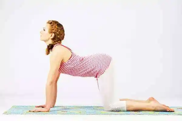 拉伸动作教学动态猫式部位菱形肌躯干屈肌