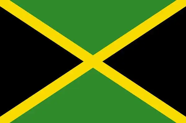 lv新毛衣「致敬牙买加」 竟搞错国旗颜色引怒火.紧急下架