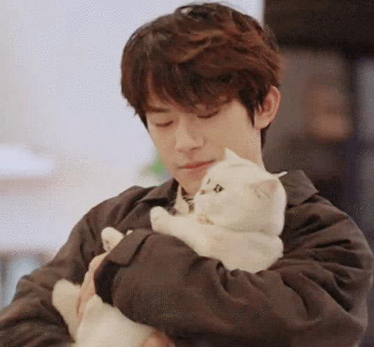 易烊千玺朋友请听好