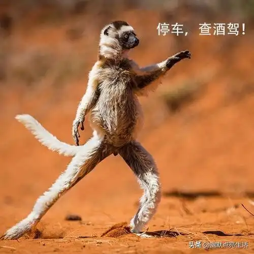 4个特点让你掌握幽默的核心所在