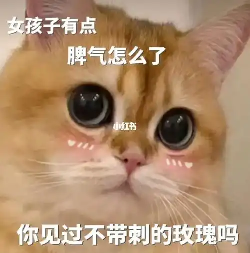 有点脾气怎么啦你没见过带刺的玫瑰吗