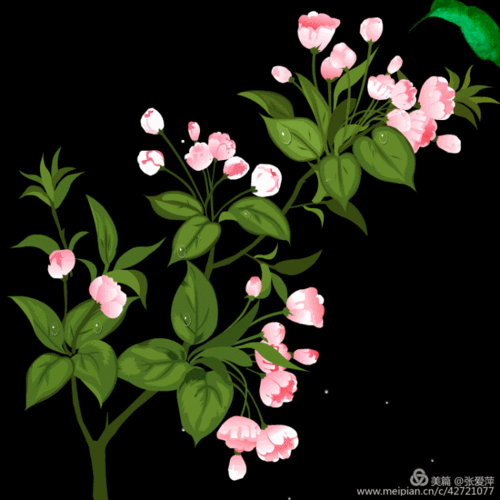 750_750gif 动态图 动图