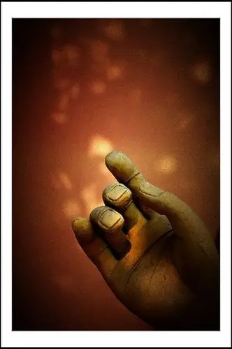 一花一世界 一树一菩提