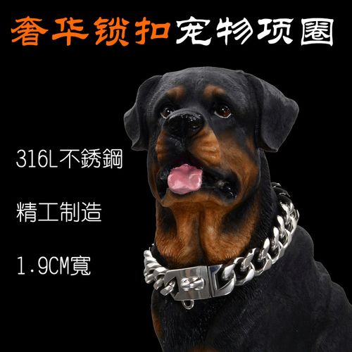 网红手作 恶霸杜宾斗牛防咬不锈钢金色银色项圈钛钢狗链狗脖颈圈