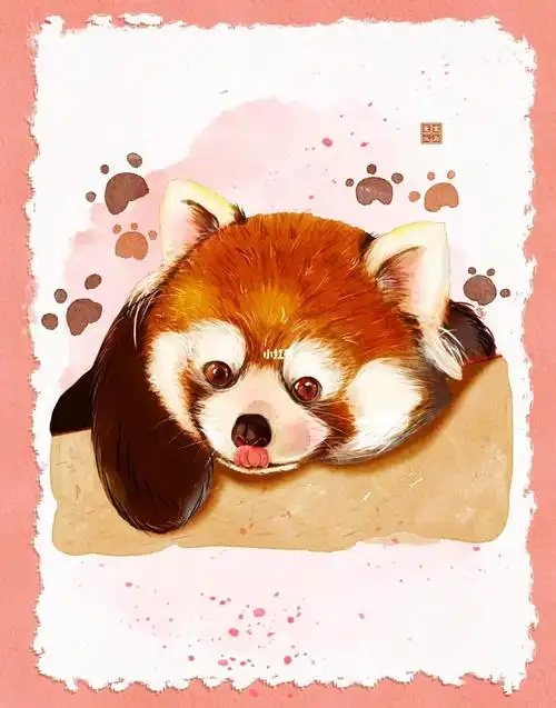 水彩萌宠临摹25小熊猫