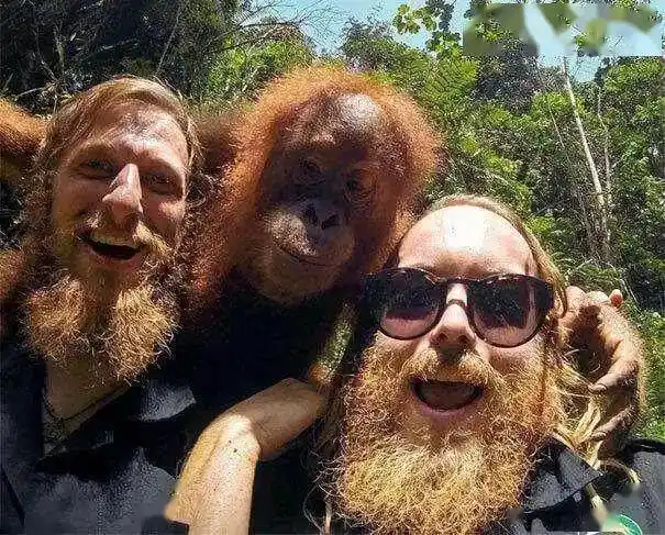 41张奇葩搞笑图片专门拯救你的不开心