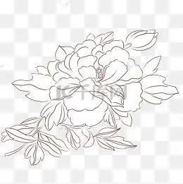 花开富贵简笔画带颜色关于花的图片简笔画图片连花图片简笔画图片牡丹