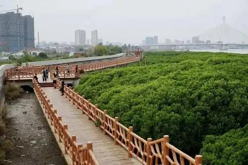 怕堵龙港本地景点汇总请收藏