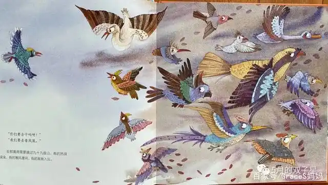 中国经典民间故事绘本《百鸟朝凤》,舍己为人,恩泽万物