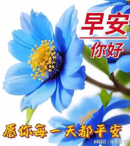 20240131早安祝福早安心语早安图片