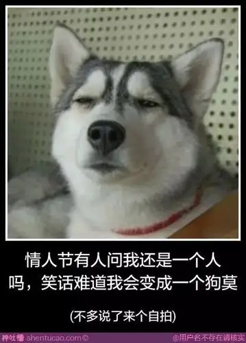 额,单身狗怎么办?