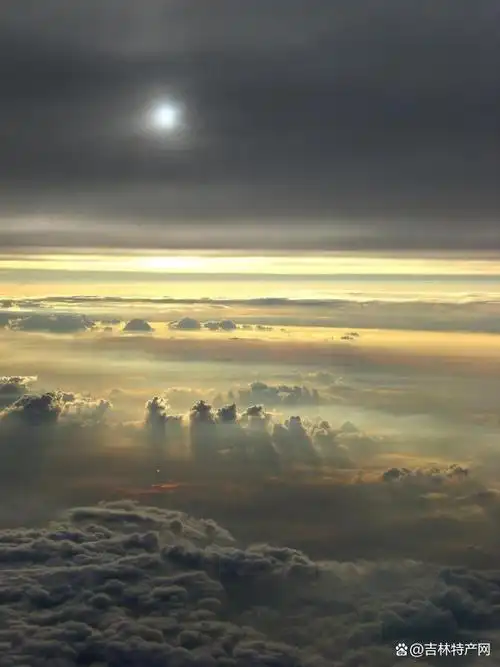 2021年,在严控下,城市重启.随着新年的到来,冬奥会也圆满落幕.