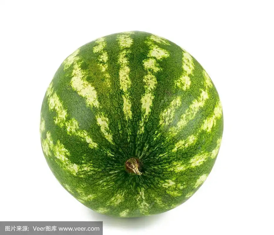 白色的西瓜
