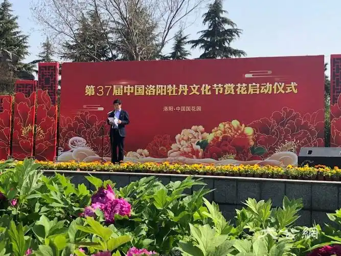 第37届洛阳牡丹文化节赏花启动 早中晚品种次第开放 _大公网