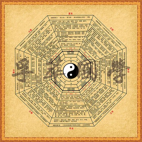 医疗八卦图中医养生知识周易经太极六合针法书房中堂办公室装饰画